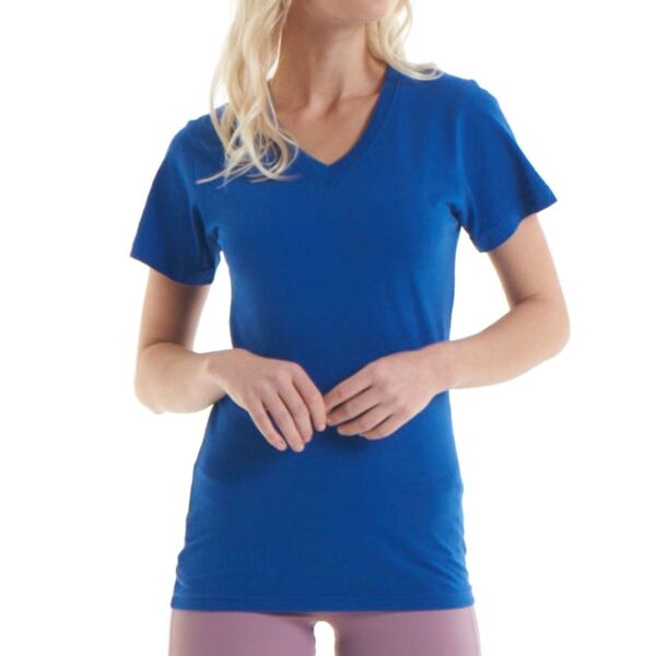 Ladies V-Neck T-Shirt Thumbnail